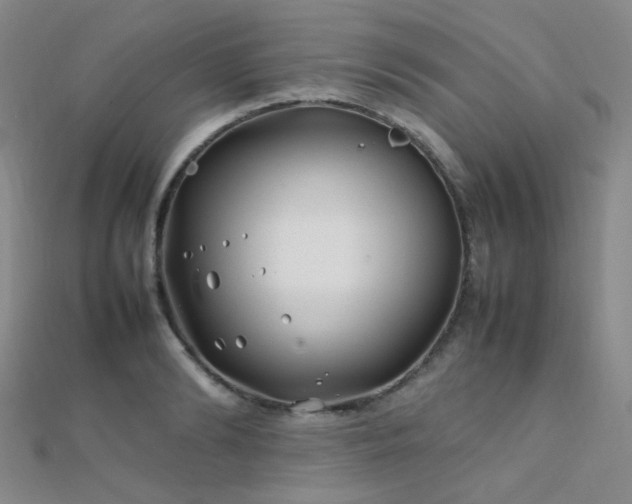X0000112370894200908131515
