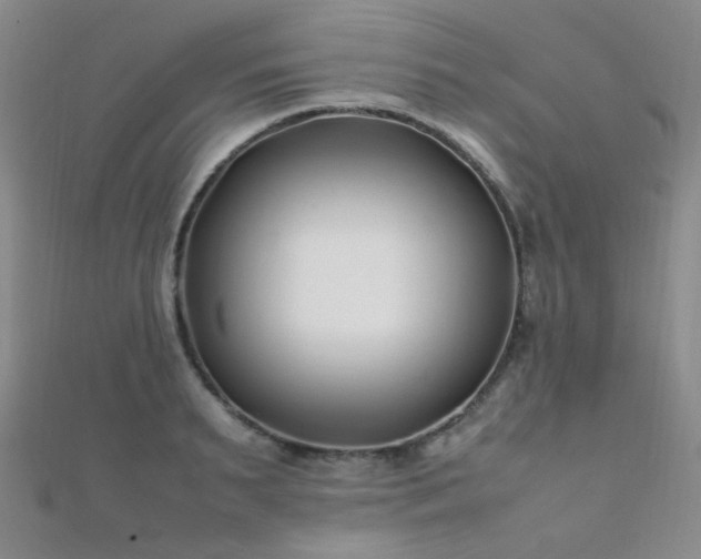 X0000112370895200908131515