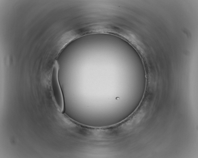 X0000112370897200908131515