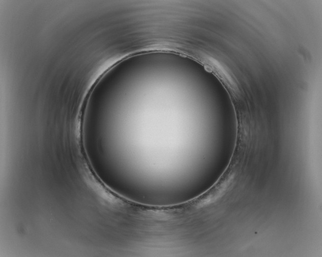 X0000112370900200908131515