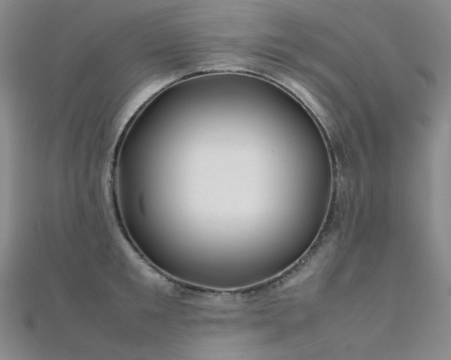 X0000112370901200908131515