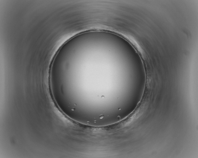 X0000112370903200908131515