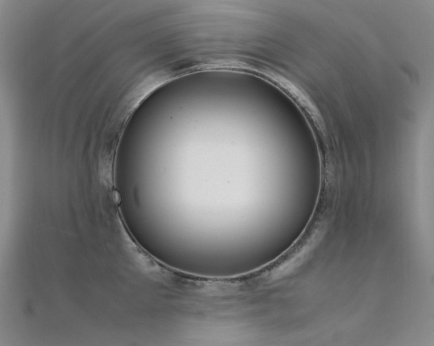 X0000112370905200908131515