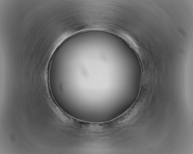 X0000112370907200908131515
