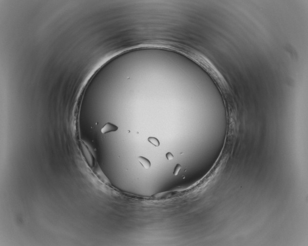 X0000112370908200908131515