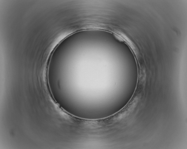 X0000112370909200908131515