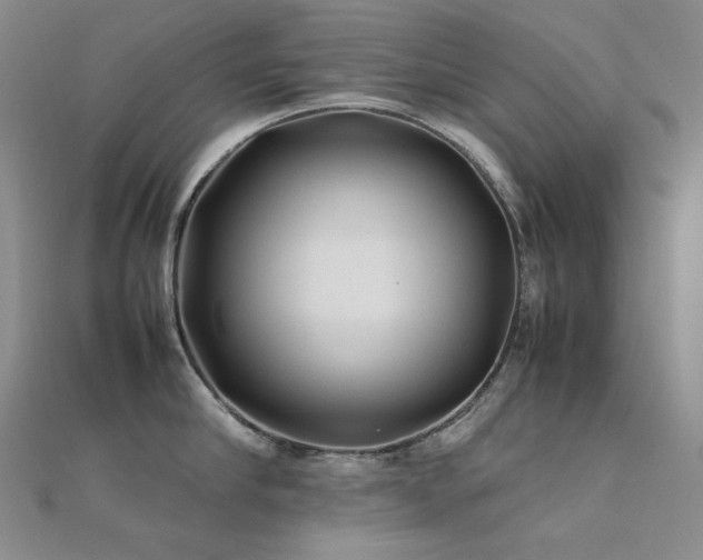 X0000112370910200908131515