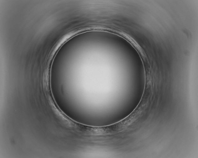 X0000112370911200908131515
