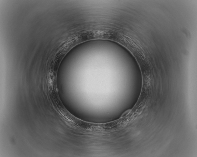 X0000112370914200908131514