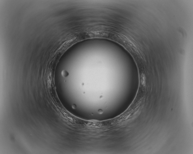 X0000112370915200908131514