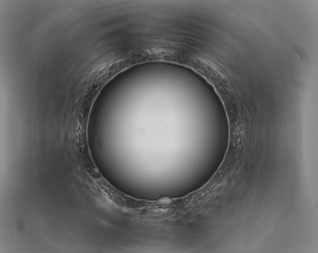 X0000112370917200908131514