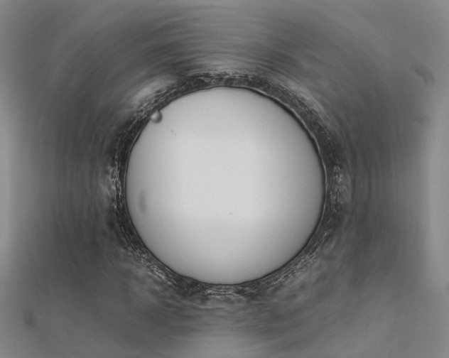 X0000112370918200908131514