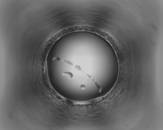 X0000112370919200908131514