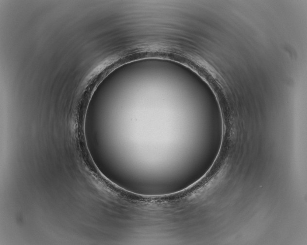 X0000112370922200908131514