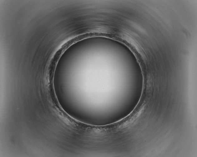 X0000112370923200908131514