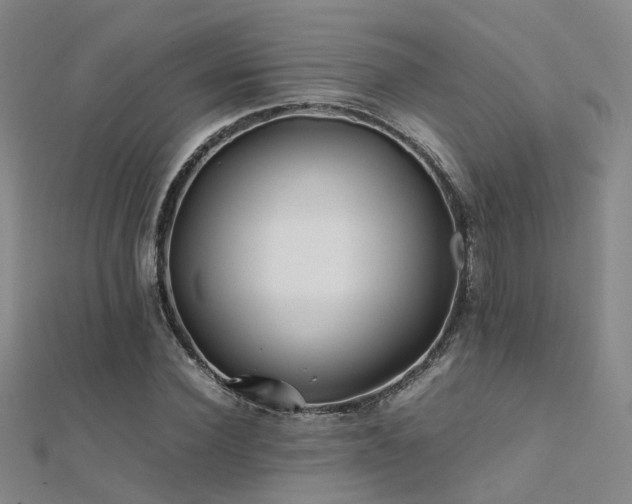 X0000112370924200908131514