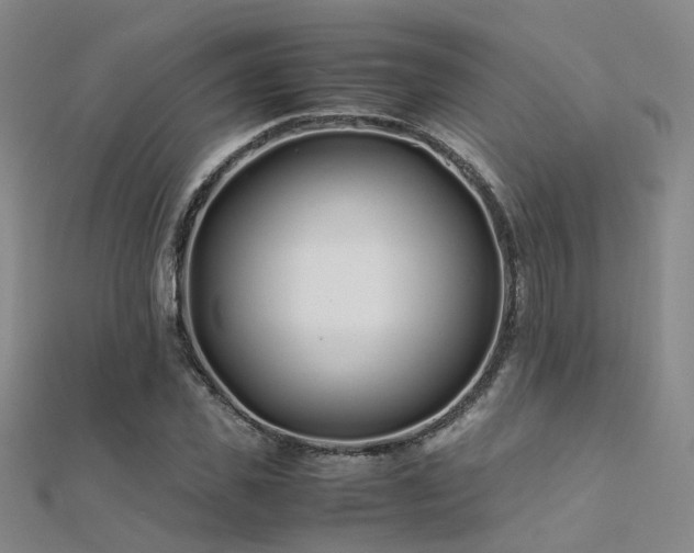 X0000112370925200908131514