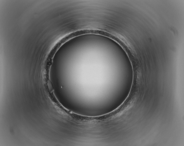 X0000112370926200908131514