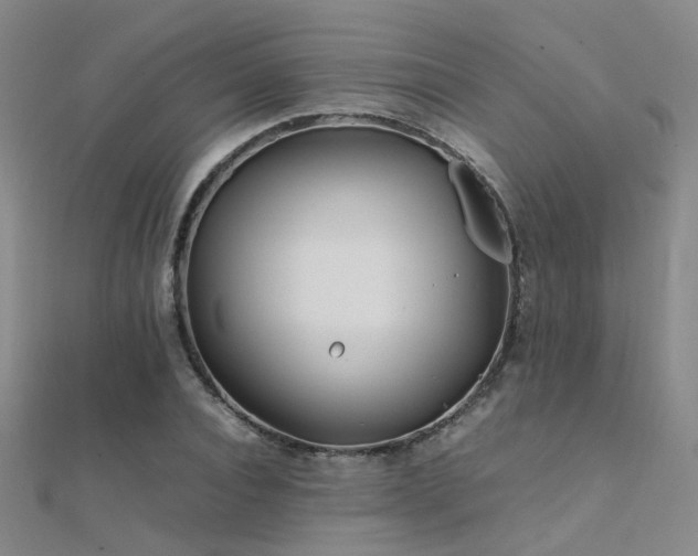 X0000112370928200908131514
