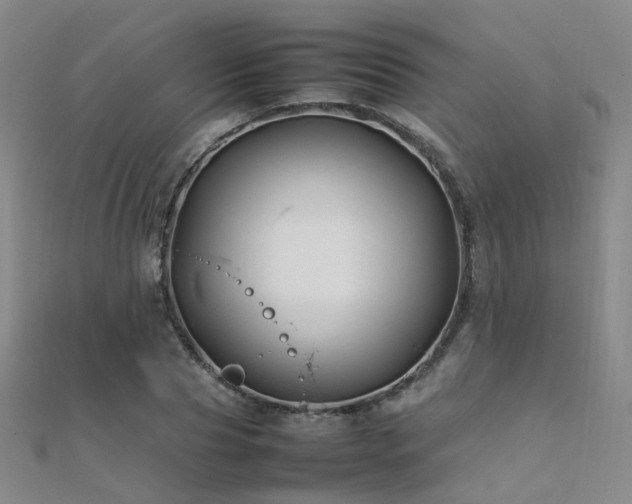 X0000112370929200908131514