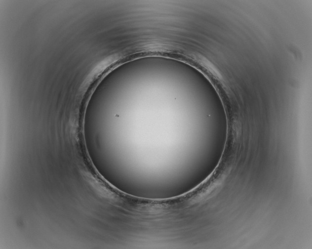 X0000112370930200908131514