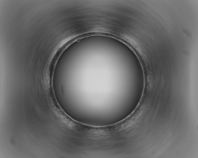 X0000112370931200908131514