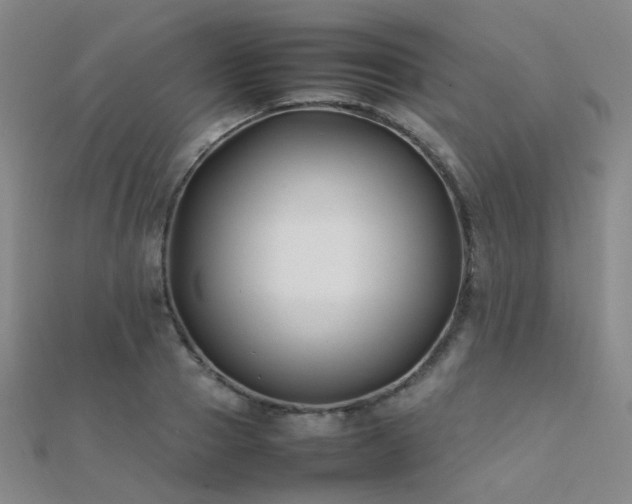 X0000112370937200908131514