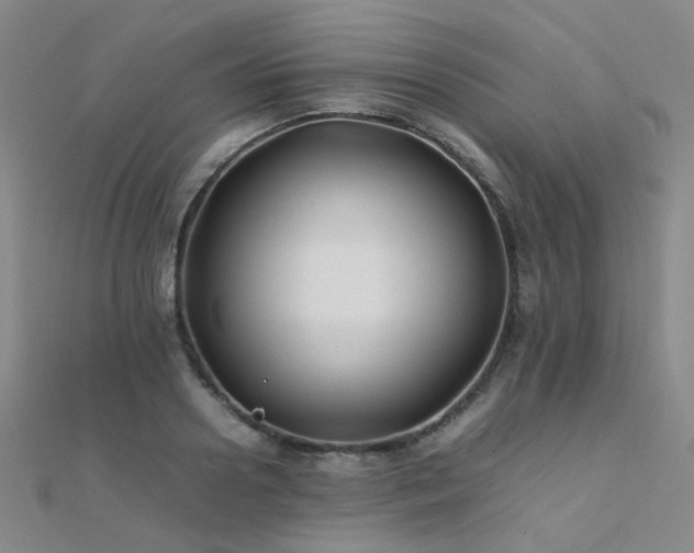 X0000112370938200908131514