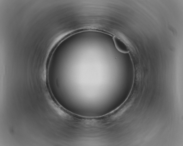 X0000112370940200908131514
