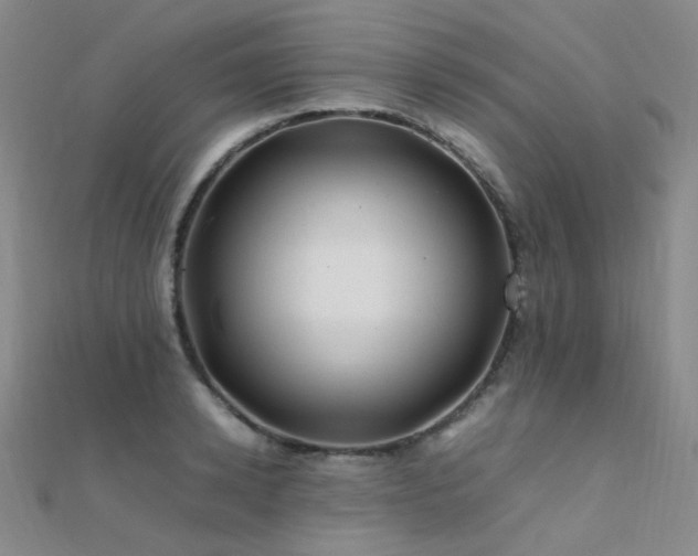 X0000112370942200908131514