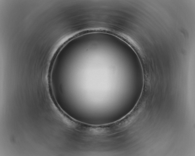 X0000112370943200908131514