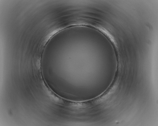 X0000112370945200908131514
