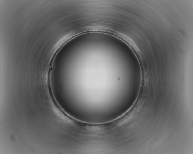 X0000112370946200908131514