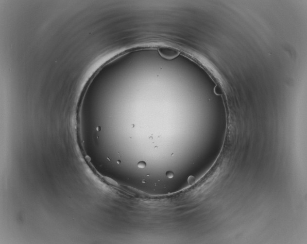 X0000112370951200908131514