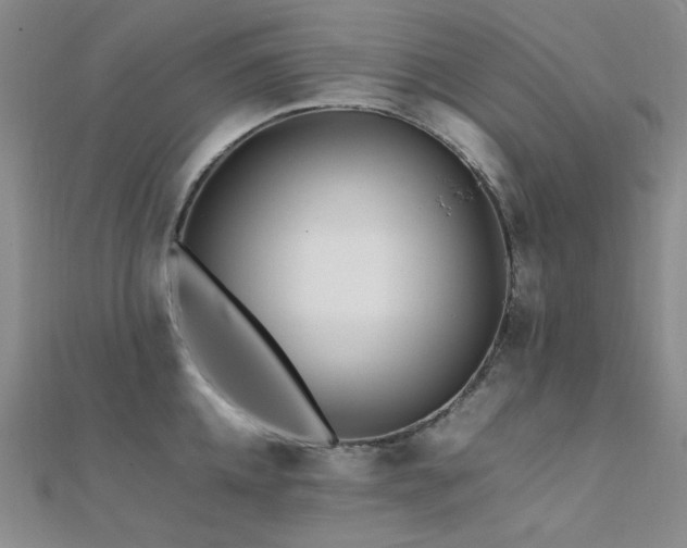 X0000112370952200908131514