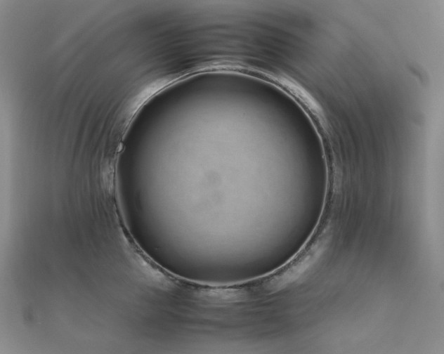 X0000112370953200908131514