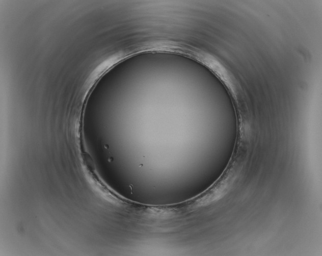 X0000112370954200908131514