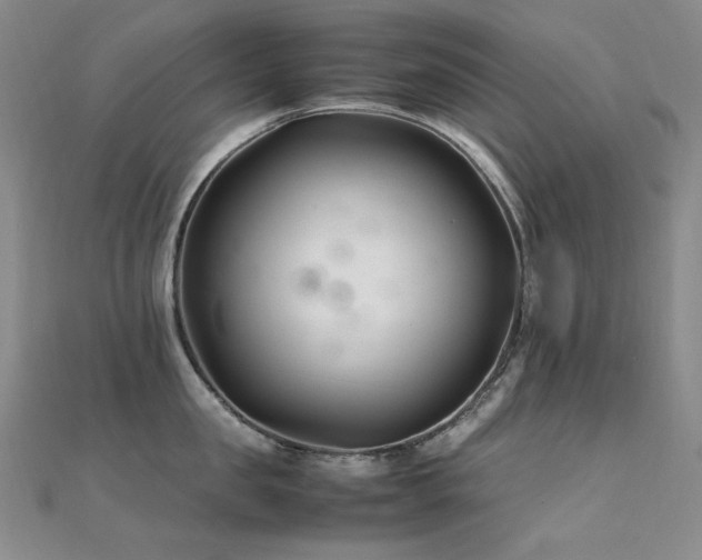 X0000112370957200908131515