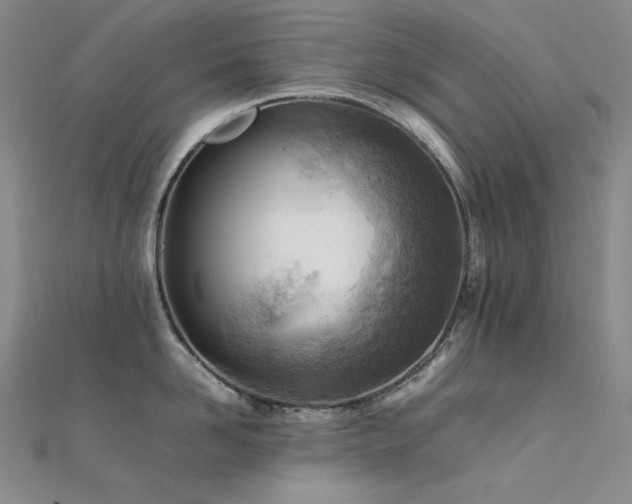 X0000112370958200908131515