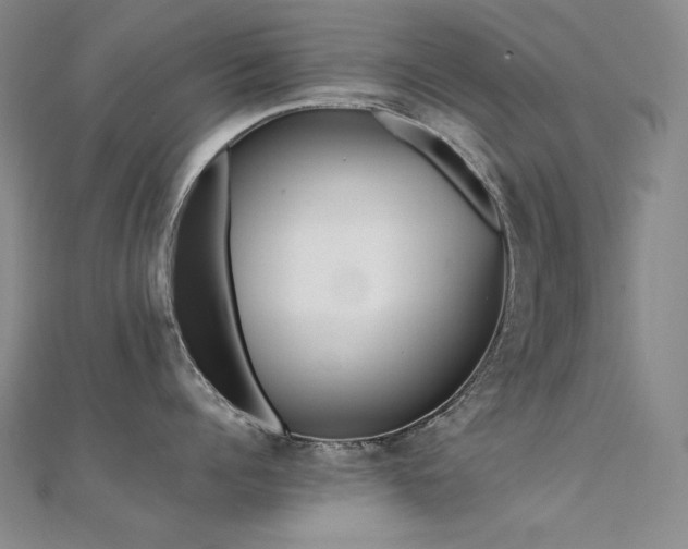 X0000112370960200908131515