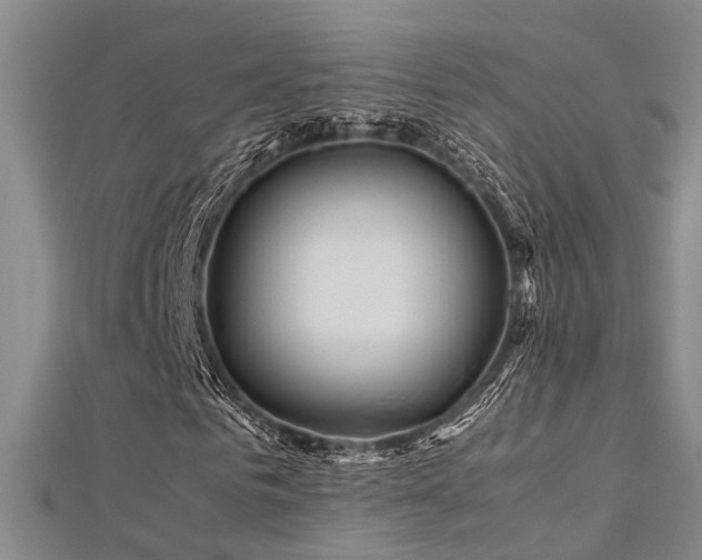 X0000112370961200908131514