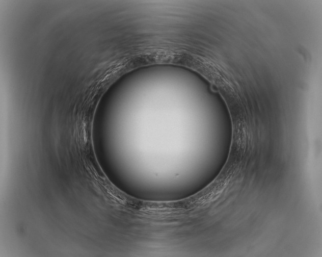 X0000112370962200908131514
