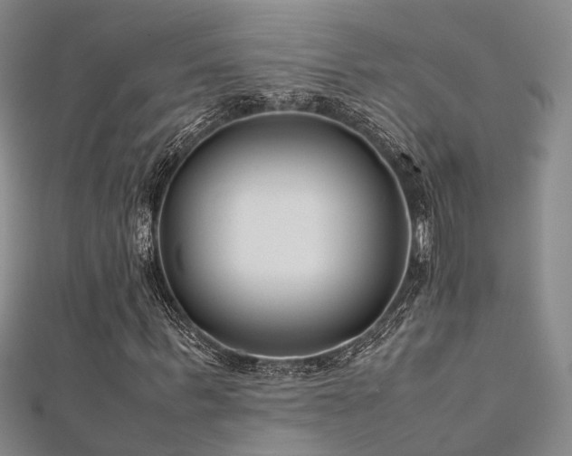 X0000112370963200908131514