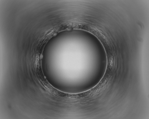 X0000112370964200908131514