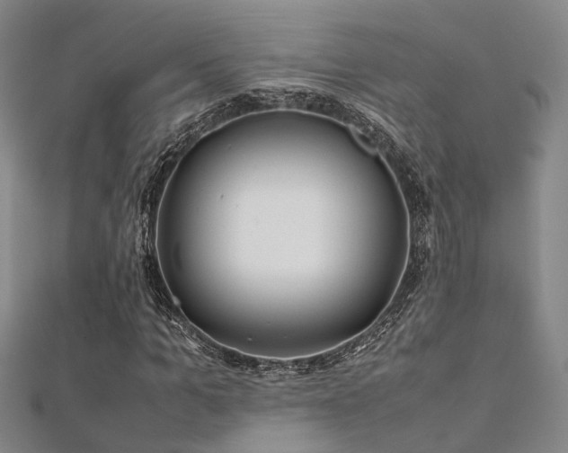 X0000112370965200908131514