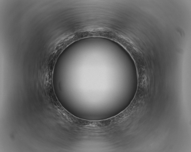 X0000112370966200908131514