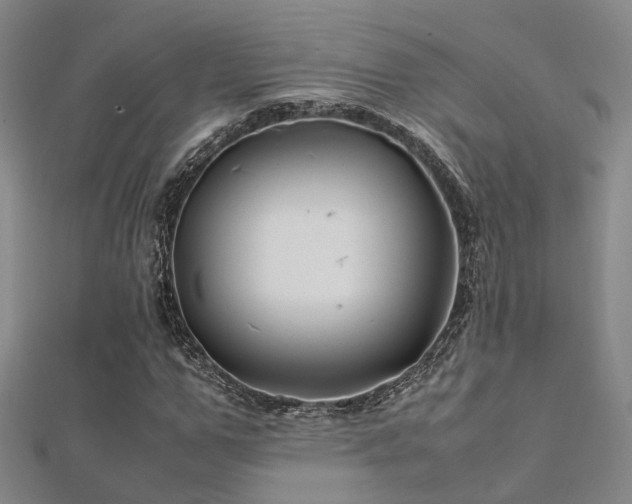 X0000112370967200908131514
