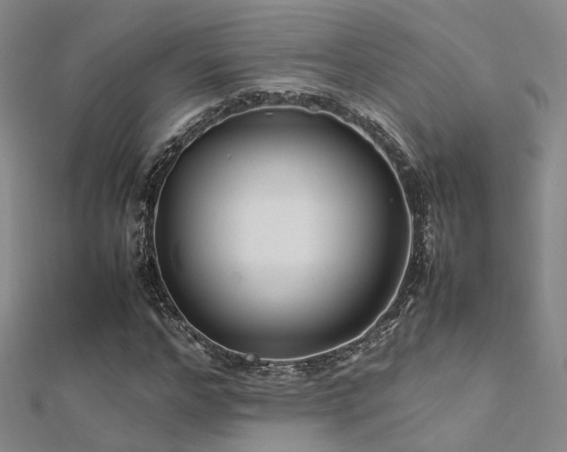 X0000112370968200908131514