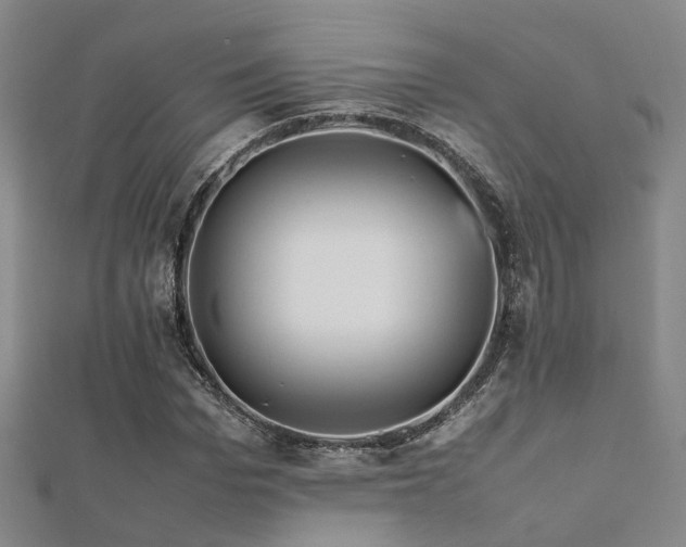 X0000112370969200908131514