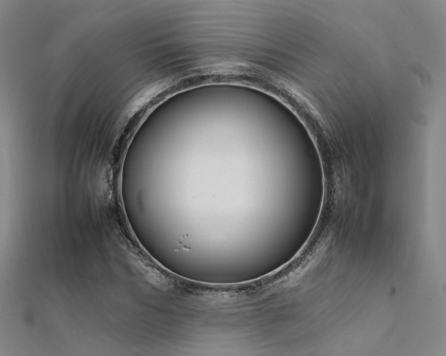 X0000112370970200908131514
